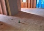 1階と2階の床に「剛床工法」を選びました。これは構造用面材を土台と梁に直接留めつける工法で、床をひとつの面として家全体を一体化することで、横からの力にも非常に強い構造となります。家屋のねじれを防止し、耐震性に優れた効果を発揮します。